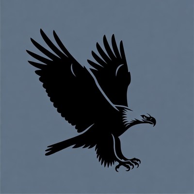 Flying Eagle Silhouette