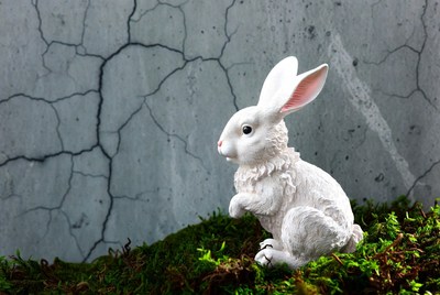 White bunny on mossy cracked wall