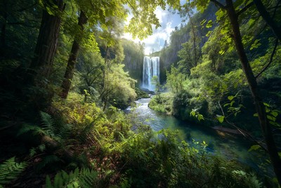 Waterfall in Lush Forest