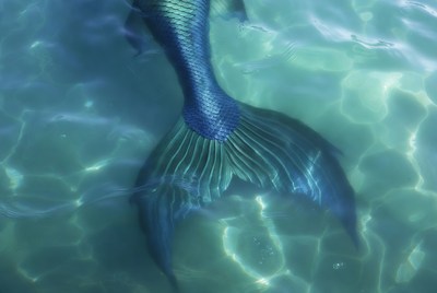 Blue Mermaid Tail in Water