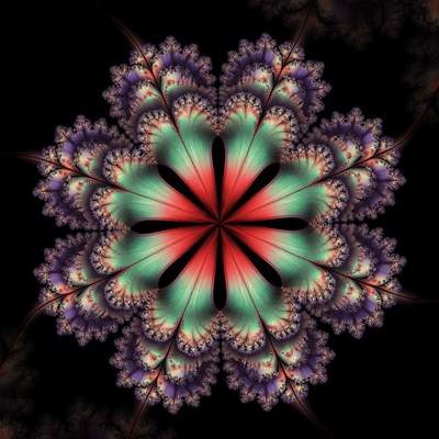 Fractal Flower on Black Background