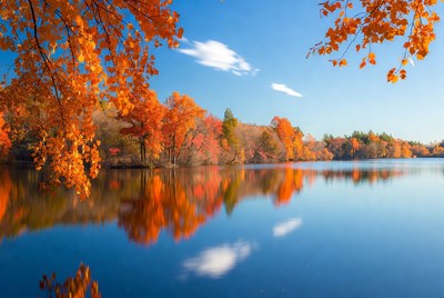 Autumn Trees Reflecting in Lake