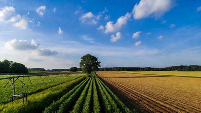 Irrigation system in green and golden fields