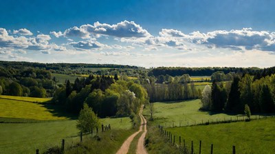 Dirt Path Through Green Rolling Hills