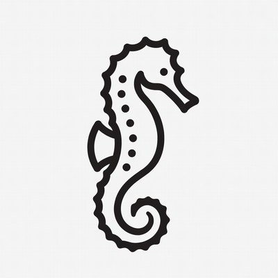 Seahorse outline illustration
