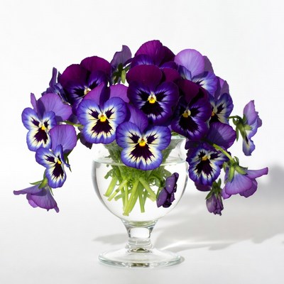 Purple Pansies in Glass Vase