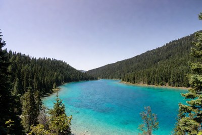 Turquoise Mountain Lake Surrounded by Pine Forests