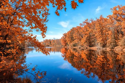 Autumn Trees Reflecting in Lake