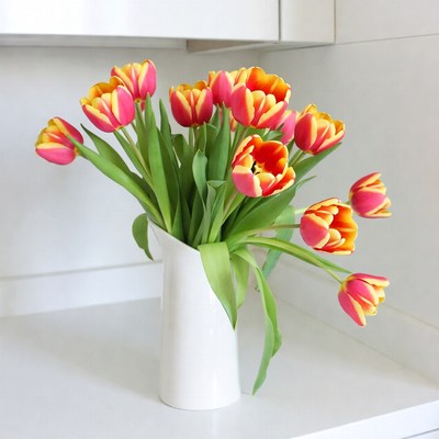 Yellow pink tulips in white pitcher