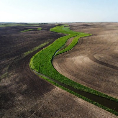 Aerial View of Curving Green Field in Farmland