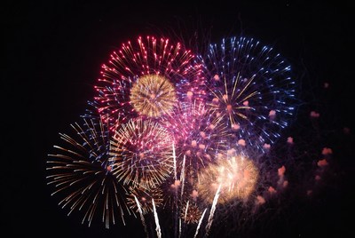Colorful Fireworks Exploding in Night Sky