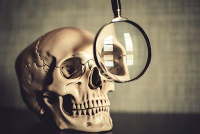Human Skull Examined by Magnifying Glass