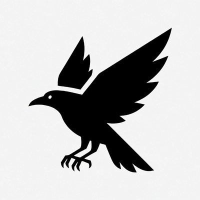 Black crow flying silhouette