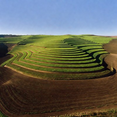 Terraced Green Fields Aerial View