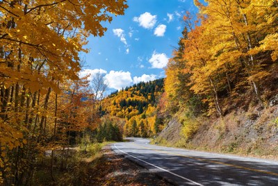 Winding road through autumn forest