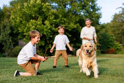 Boys playing fetch with Golden Retriever