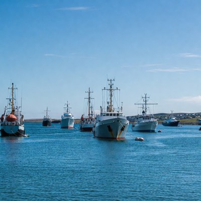 Fishing boats docked in harbor
