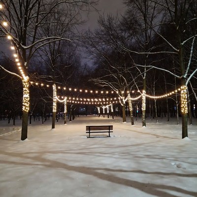Snowy Park Bench with Fairy Lights