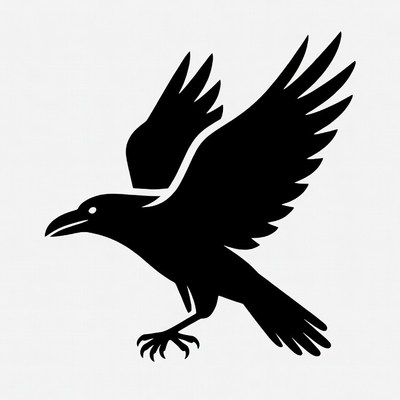 Flying Raven Silhouette Illustration