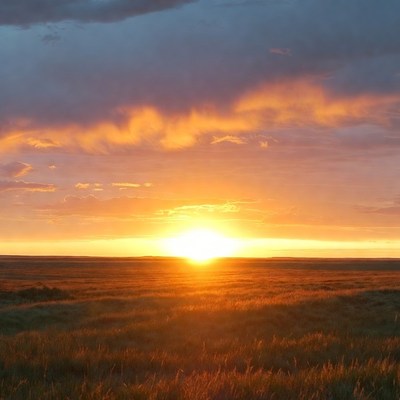 Sunset over golden prairie field