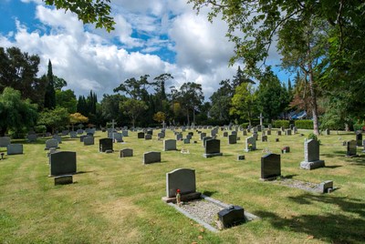 Cemetery with gravestones under trees