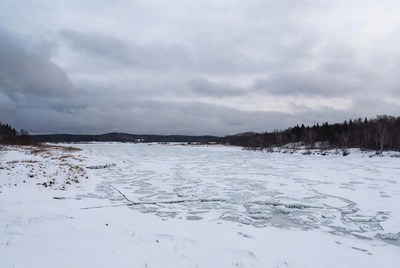 Frozen lake with snowy forest