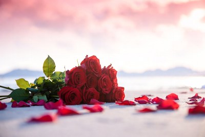 Red Roses Bouquet on Beach Sand