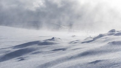 Snowy Landscape with Blowing Snow