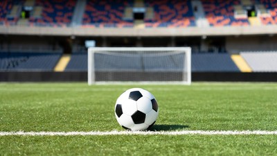 Soccer Ball in Front of Goal
