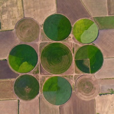 Circular Green Crop Fields Aerial View