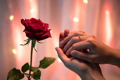 Hands holding red rose with ring