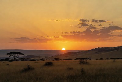 Sunset over African savanna with acacia trees