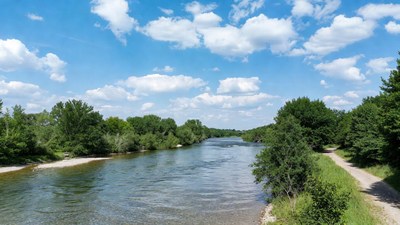 River flowing through green trees