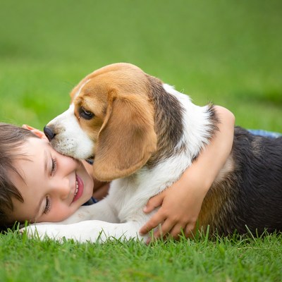 Boy hugging beagle dog on grass