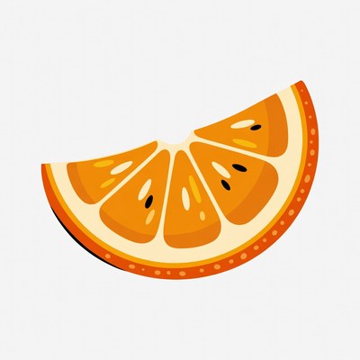 Orange Slice Illustration