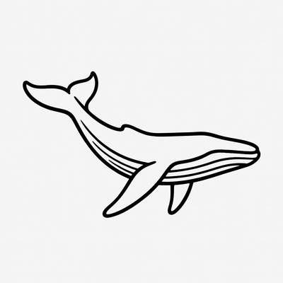Humpback Whale Line Art
