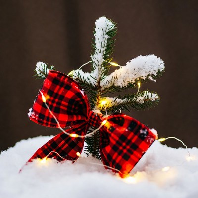 Small Christmas Tree with Red Plaid Bow