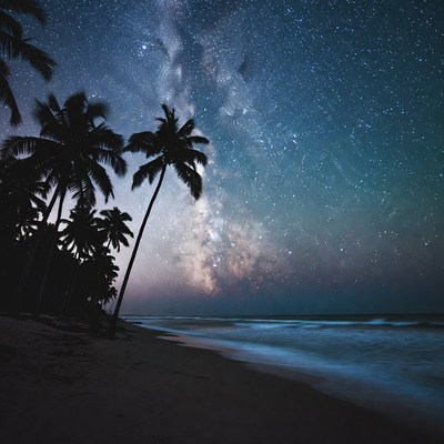 Milky Way over palm trees beach