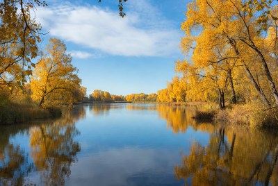 Autumn Trees Reflecting in Calm Lake