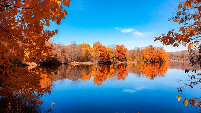 Autumn Trees Reflecting in Lake