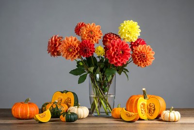 Dahlia Bouquet with Pumpkins