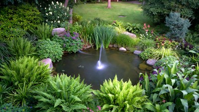 Garden pond with fountain