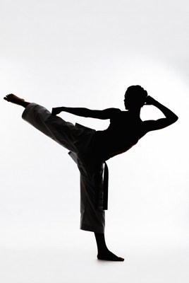Silhouette of man kicking in karate gi