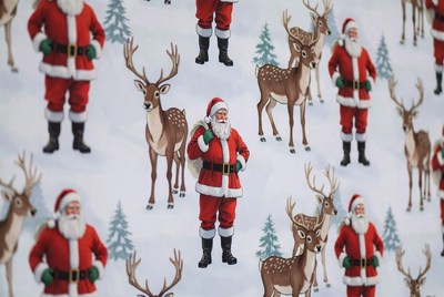 Santa Claus and Reindeer Pattern