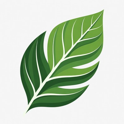 Green Leaf Illustration