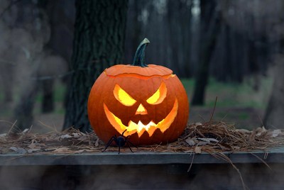 Lit Jack-o'-lantern with Spider in Forest