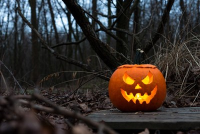 Lit Jack-o'-lantern in Dark Forest