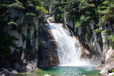 Majestic Waterfall in Lush Green Forest