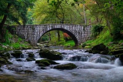 Stone Arch Bridge over Forest Stream