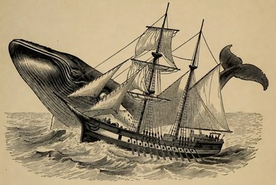 Whale Attacking Sailing Ship